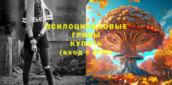 спиды Алексин