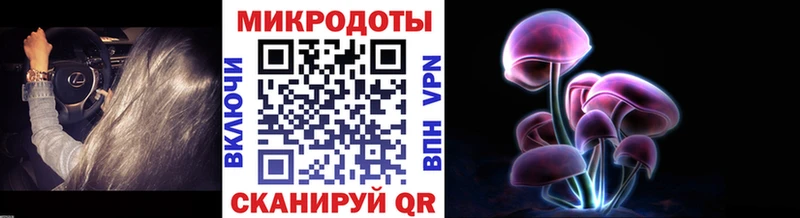 Псилоцибиновые грибы мухоморы  купить наркоту  Жуков 