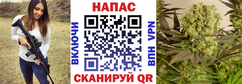 Шишки марихуана Amnesia  где можно купить   Жуков 
